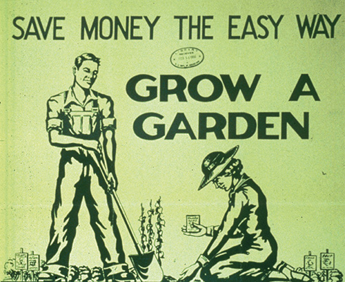 grow your own veg