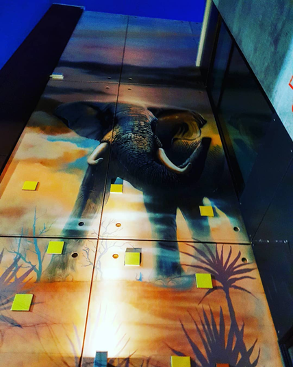 Animal Art