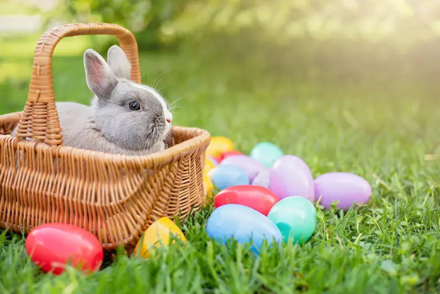 Ultimate Easter Egg Hunt Guide