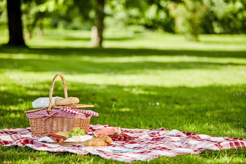 Picnic