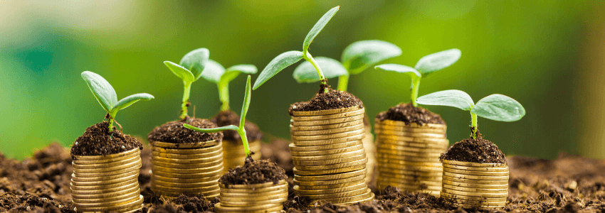 Help your credit score grow Help your credit score grow