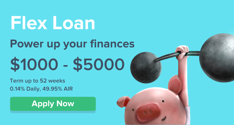 Power up your projects with Flex Loan